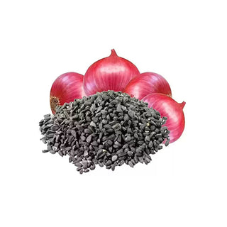 bulk onion seed oil