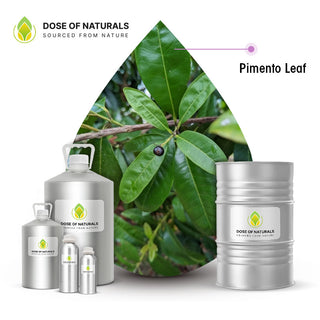 pimento oil