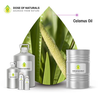 calamus oil