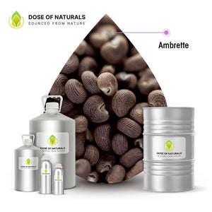 Ambrette Seed Essential Oil