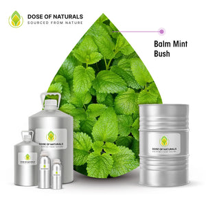 balm mint bush essential oil