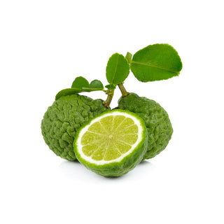 bergaptene free bergamot essential oil