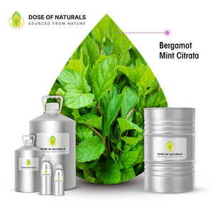 Bergamot Mint (Citrata) Essential Oil