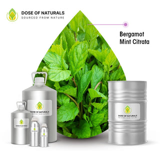 Bergamot Mint (Citrata) Essential Oil