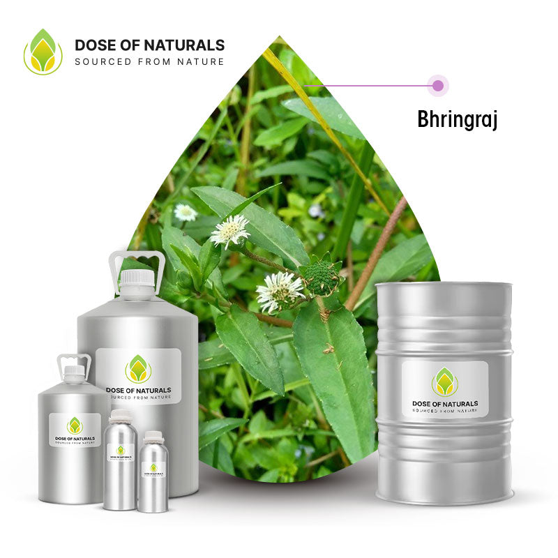 bhringraj oil