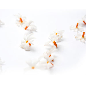 Buy Harsingar Parijat Essential Oil