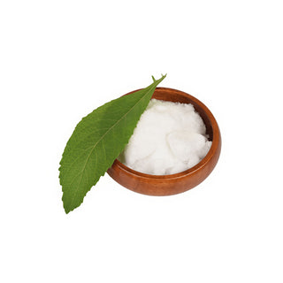 camphor oil