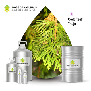 cedar leaf oil