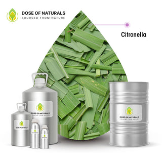 citronella essential oil