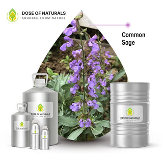 common sage essential oil