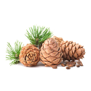 cedarwood essential oil