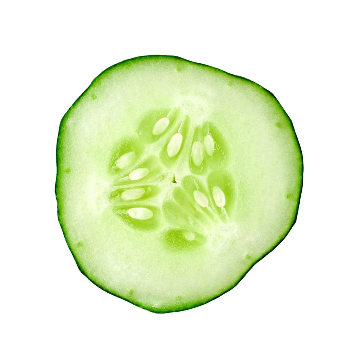 cucumber hydrosol