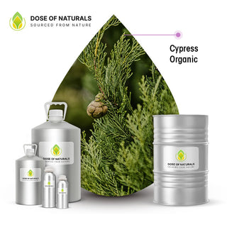 cypress essential oil