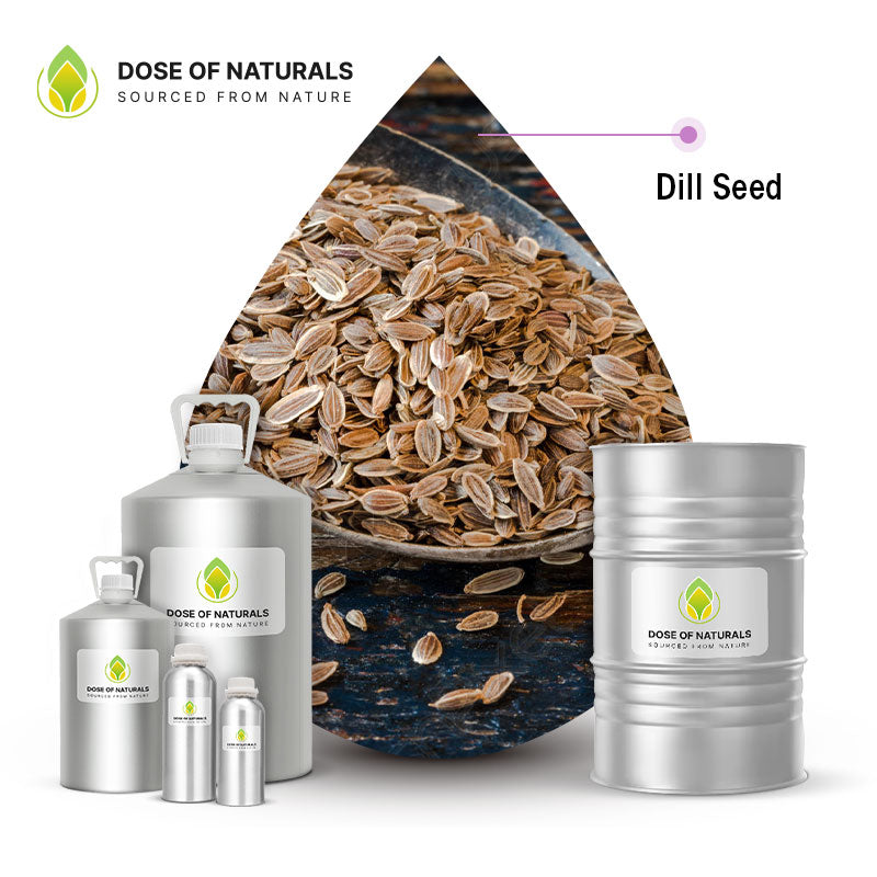 dill seed oil