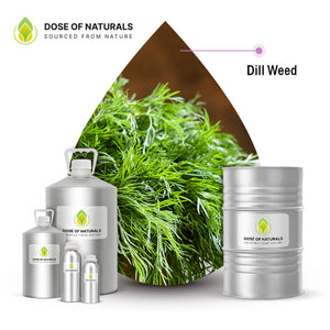 dill weed essential oil