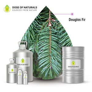 Douglas Fir Needle Essential Oil