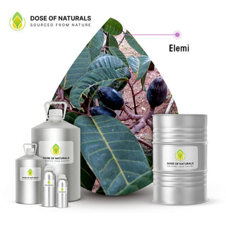 elemi essential oil