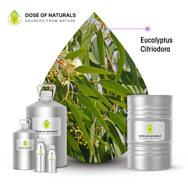 Eucalyptus Citriodora Essential Oil