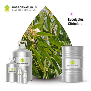 Eucalyptus Citriodora Essential Oil