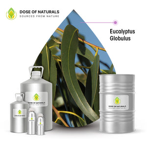 Eucalyptus Globulus Essential Oil