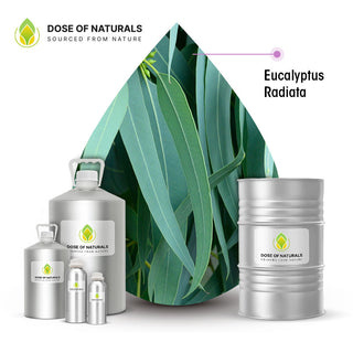 eucalyptus radiata essential oil