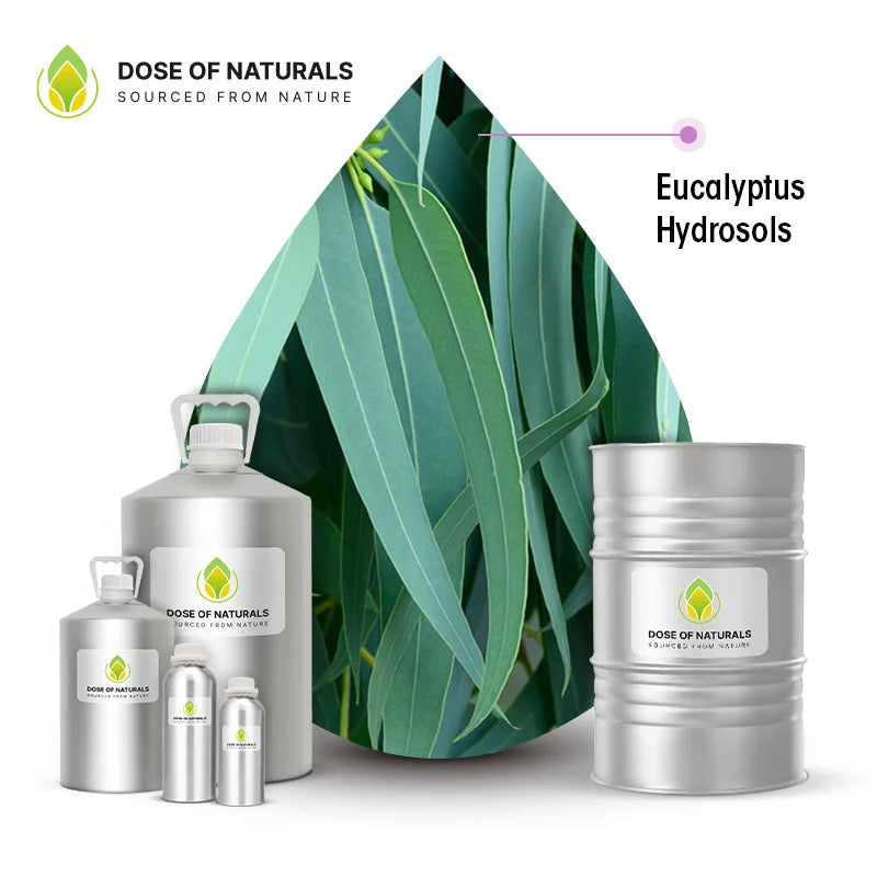 eucalyptus hydrosol