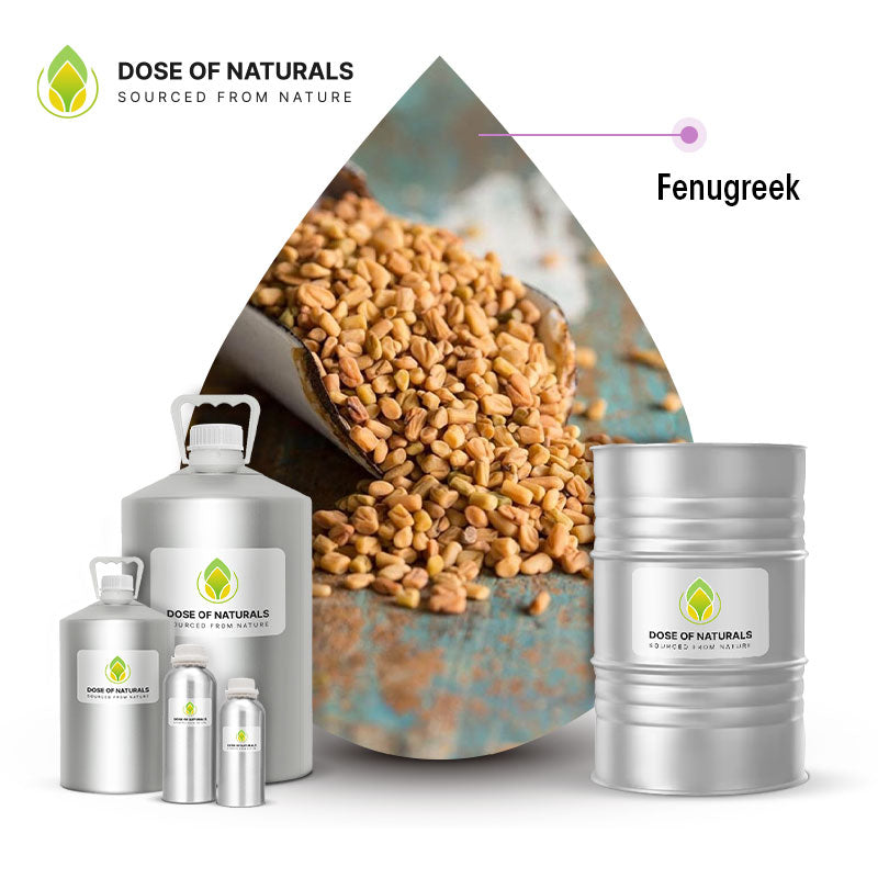 Fenugreek Essential Oil