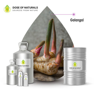 galangal essential oil