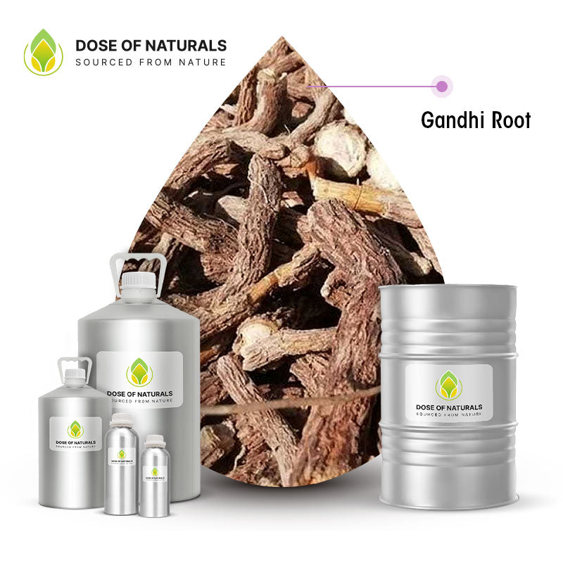 Ghandi Root Essential Oils