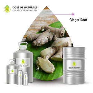 Ginger Root Essential Oil