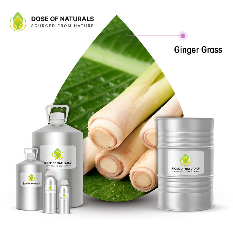 Ginger Grass Essential Oil