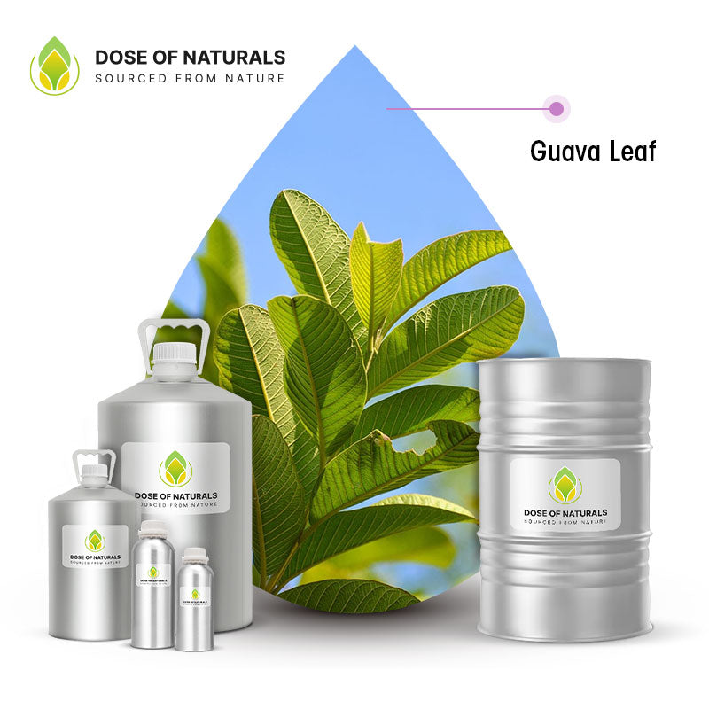 Guava Leaf Essential Oil