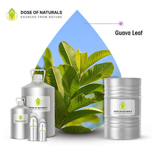 Guava Leaf Essential Oil