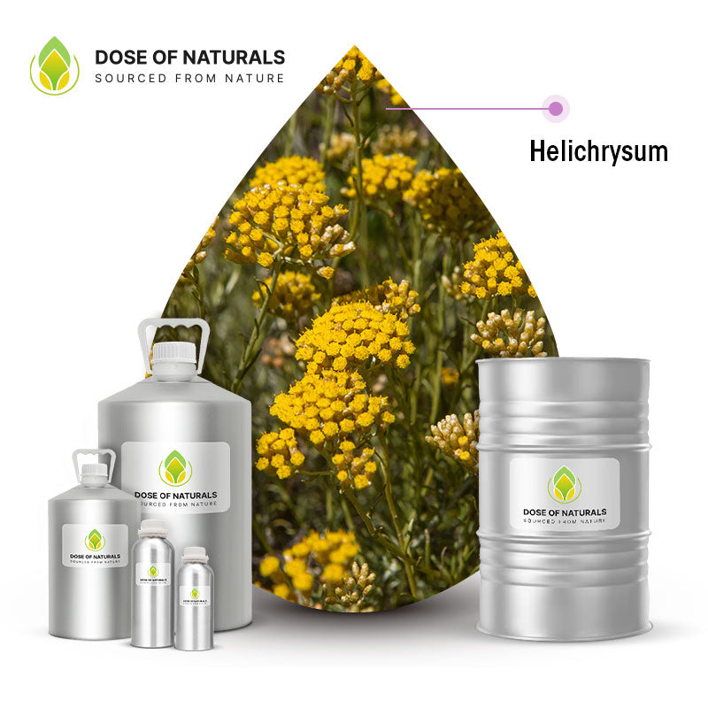 Helichrysum Essential Oil