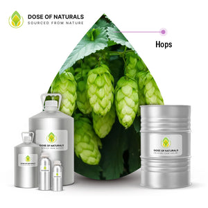 Hops Essential Oil