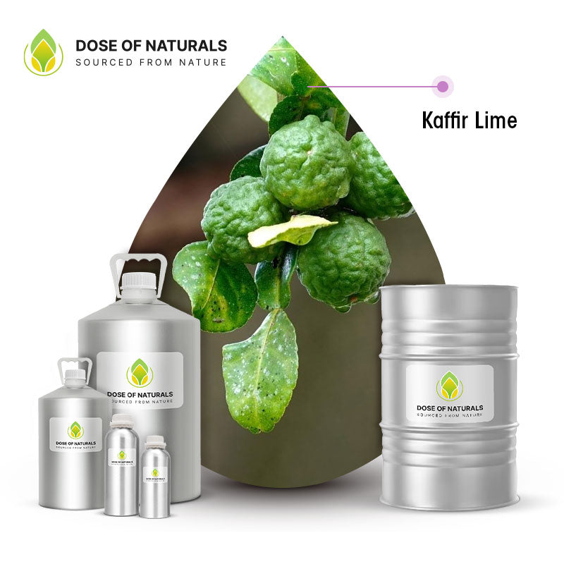 Kaffir Lime Essential Oil