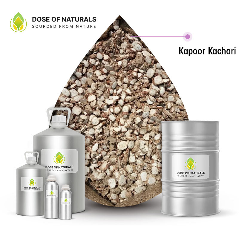 Kapoor Kachari (Spiked Ginger Lily) Essential Oil