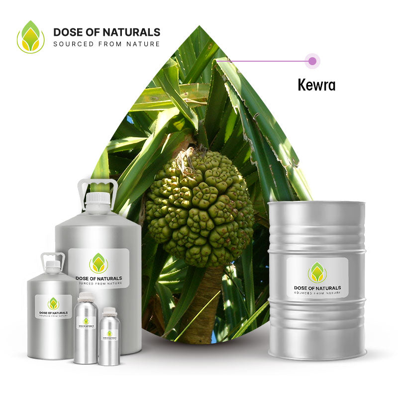 Kewra Essential Oil