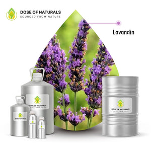 Lavandin Essential Oil