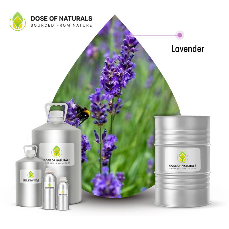 Lavender Essential Oil