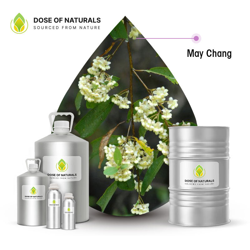 May Chang Essential Oil