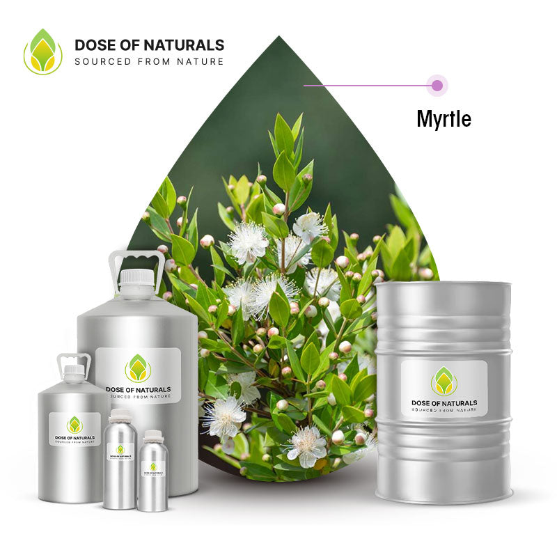 Myrtle Essential Oil