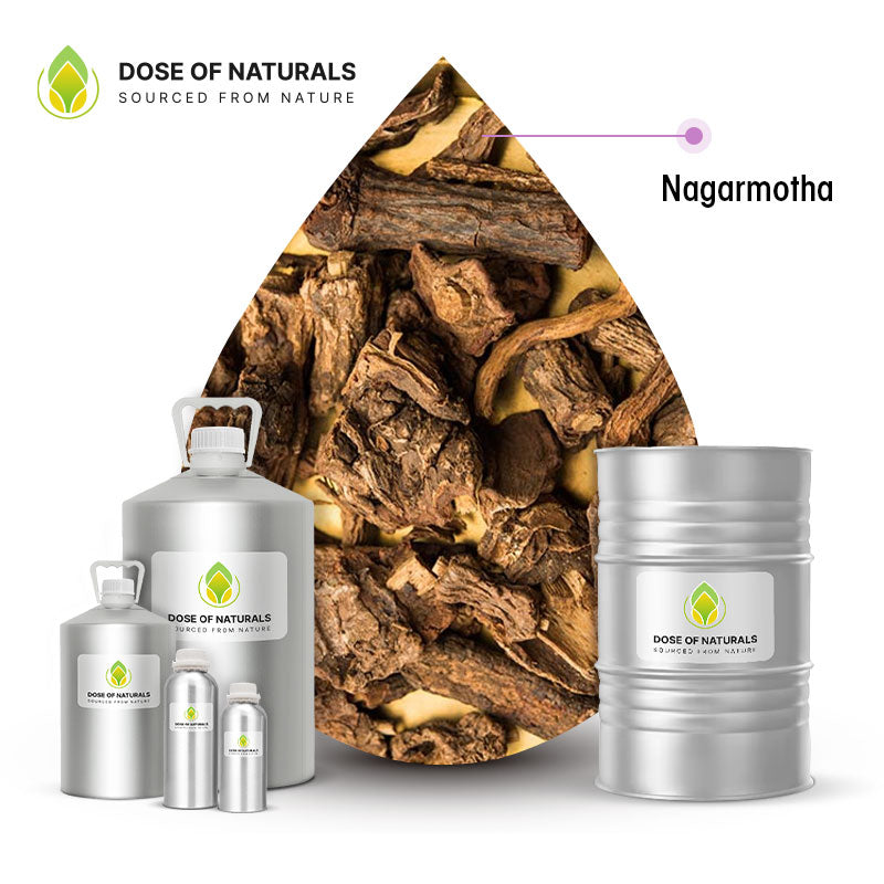 Nagarmotha (Cypriol) Essential Oil