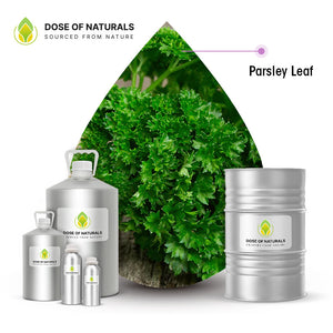 Parsley Leaf Essential Oil