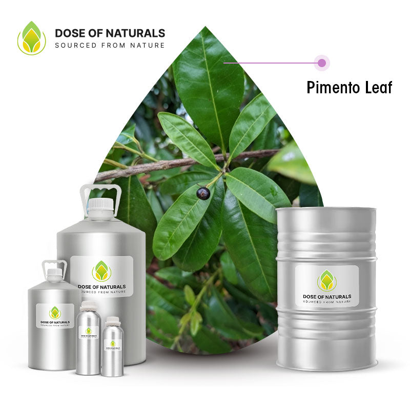 Pimento Leaf Essential Oil