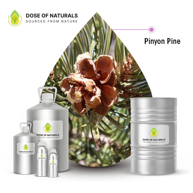 Pinyon Pine Essential Oil