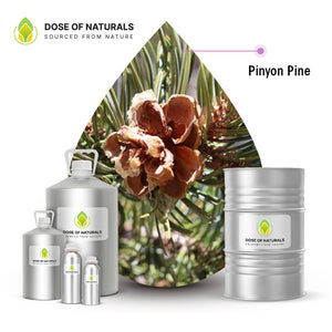 Pinyon Pine Essential Oil