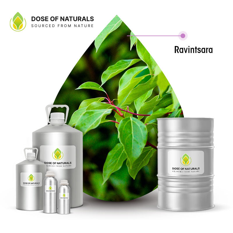 Ravintsara (Ho Leaf) Essential Oil