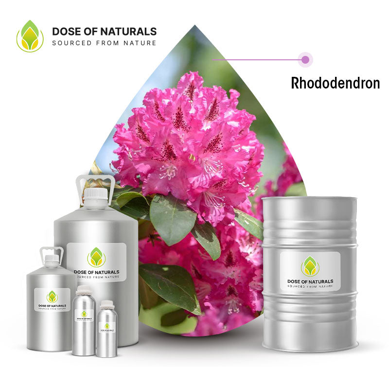 Rhododendron Essential Oil