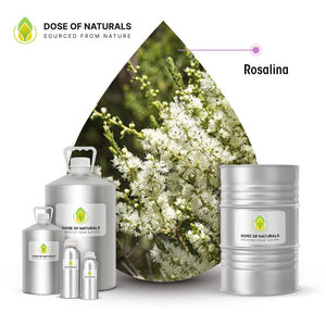 Rosalina Essential Oil